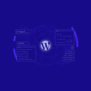WordPress Maintenance - WordPress and WooCommerce Speed Optimization